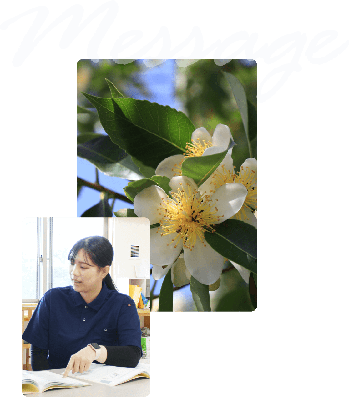 Message
